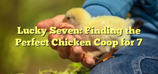 Lucky Seven: Finding the Perfect Chicken Coop for 7 